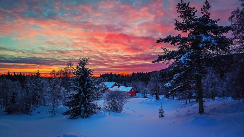 Winter Twilight Over Snow Covered Landscape Backiee