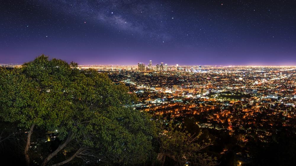 Los Angeles Night Cityscape Wallpaper Backiee