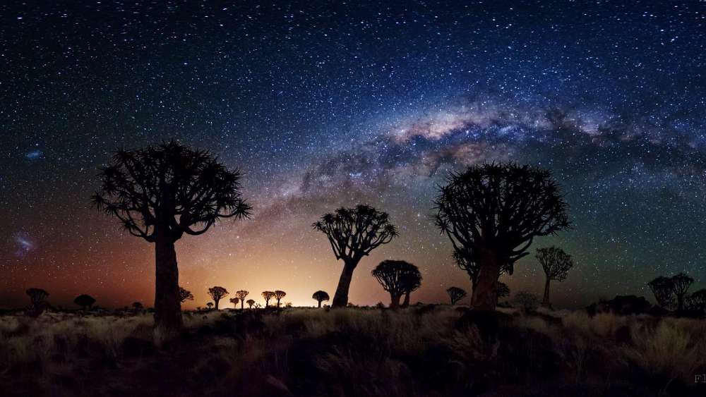 Milkyway over Baobab Trees wallpaper
