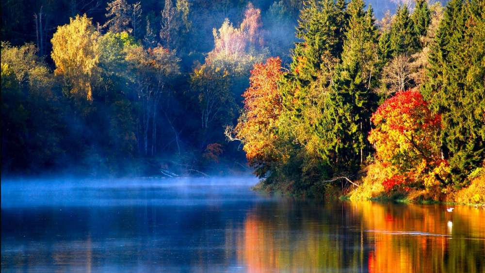 Autumn Reverie by the River wallpaper