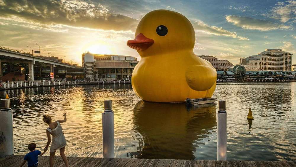 Giant Rubber Duck in Harbor wallpaper