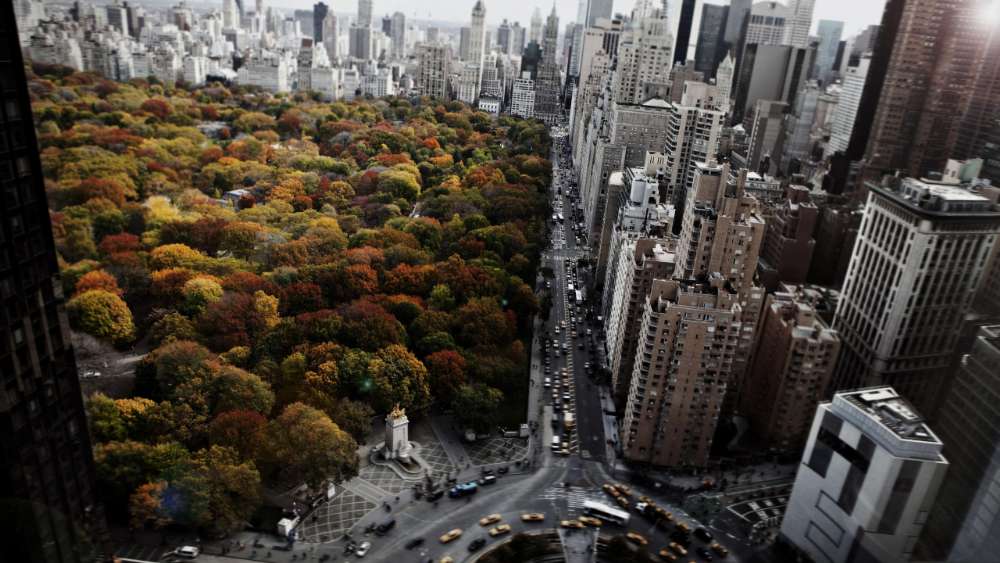 Autumn Blaze over New York Streets wallpaper