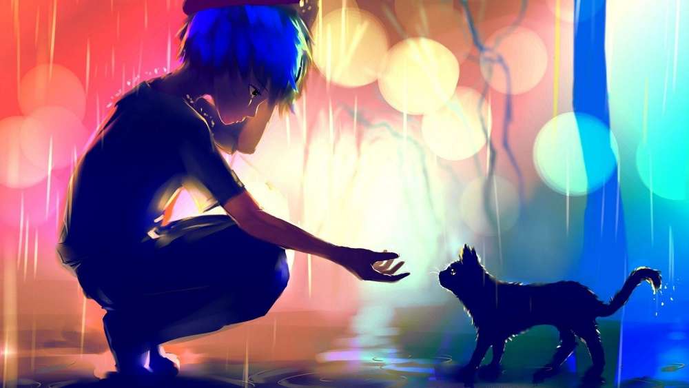 Rainy Encounter with a Feline Friend wallpaper