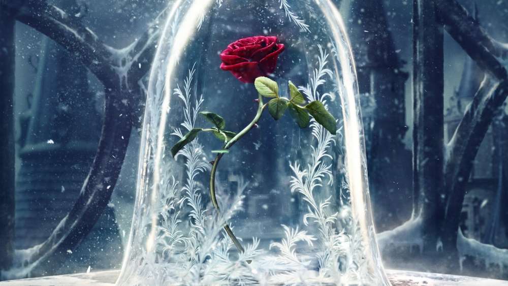 Enchanted Rose in Winter Wonderland wallpaper