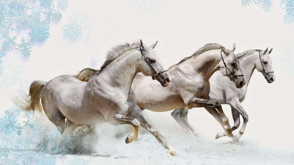 Graceful Winter Trio Gallops in Snow wallpaper