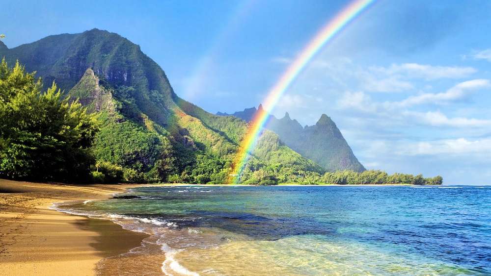 Tropical Rainbow Serenity wallpaper