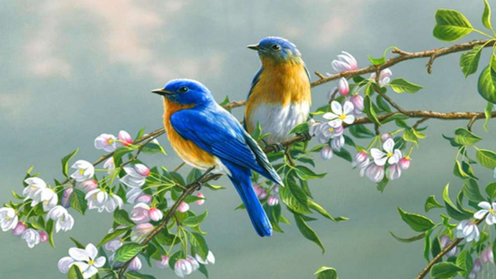 Bluebirds on Blossoming Branches wallpaper