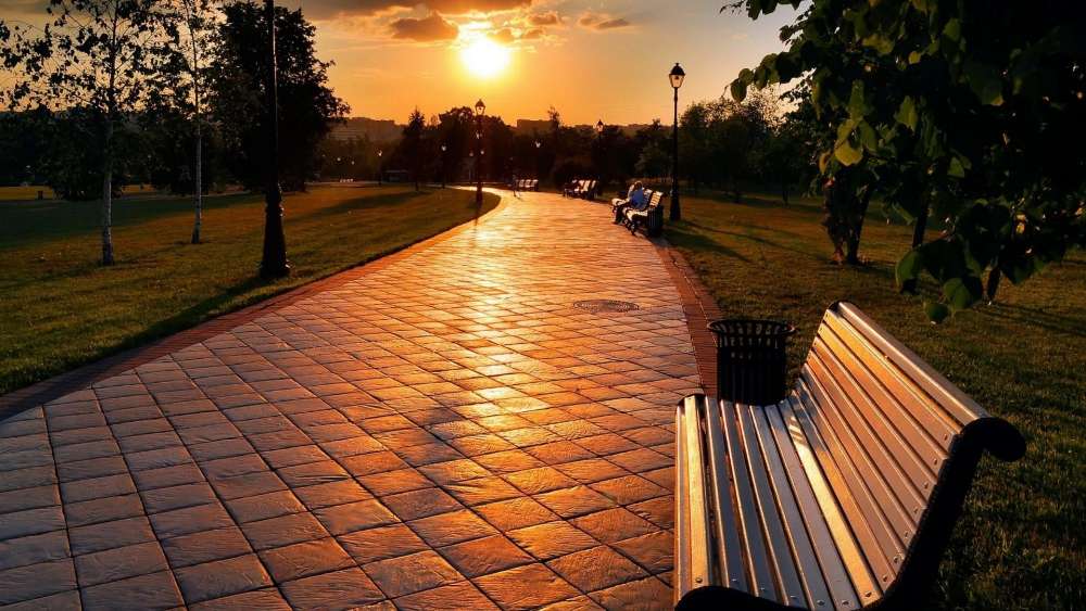 Sunset Serenity on a City Bench wallpaper