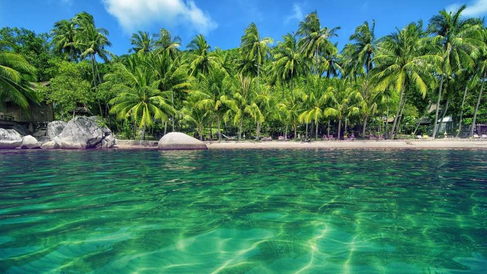 Tropical Paradise by the Crystal Clear Sea wallpaper
