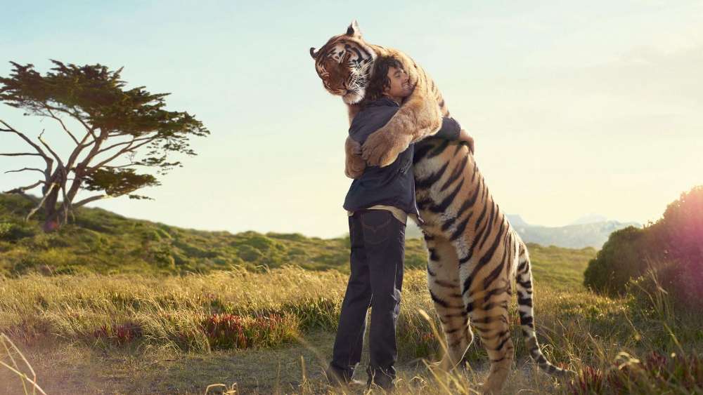 Tiger Embrace in Nature's Vastness wallpaper