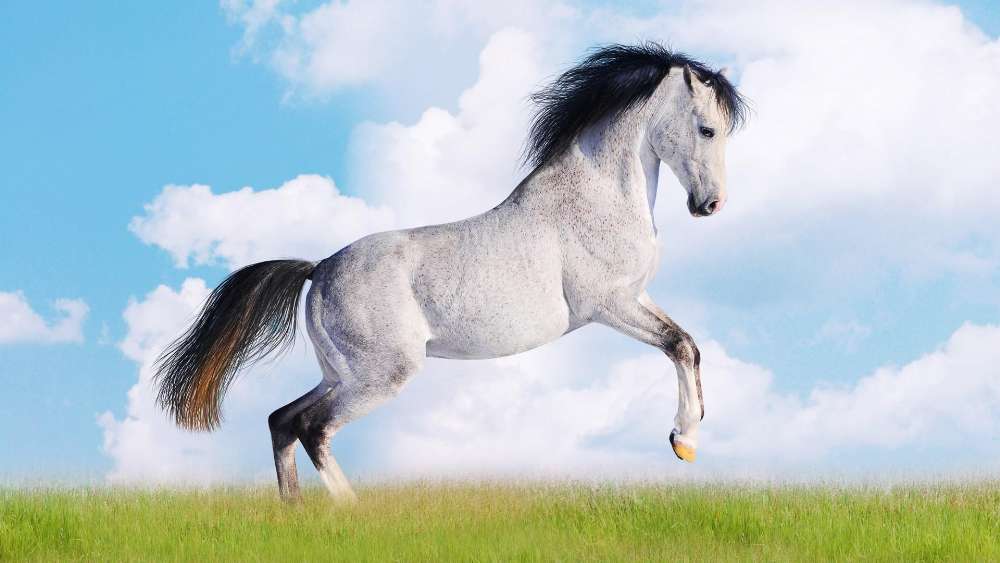 Majestic Horse in Motion wallpaper