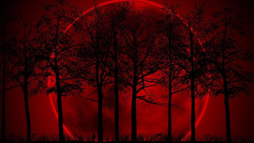 Crimson Moonrise Amidst Silhouetted Forest wallpaper