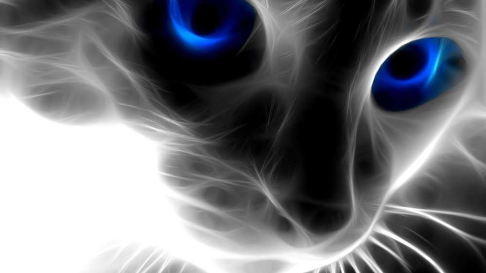 Ethereal Blue-Eyed Feline wallpaper