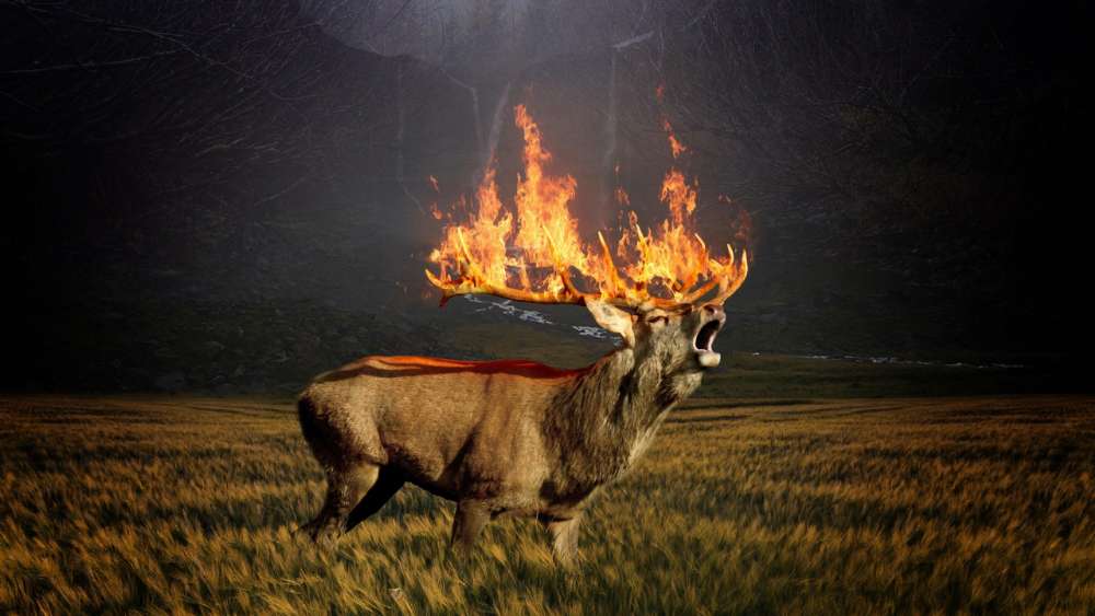 Blazing Antlers of the Majestic Stag wallpaper