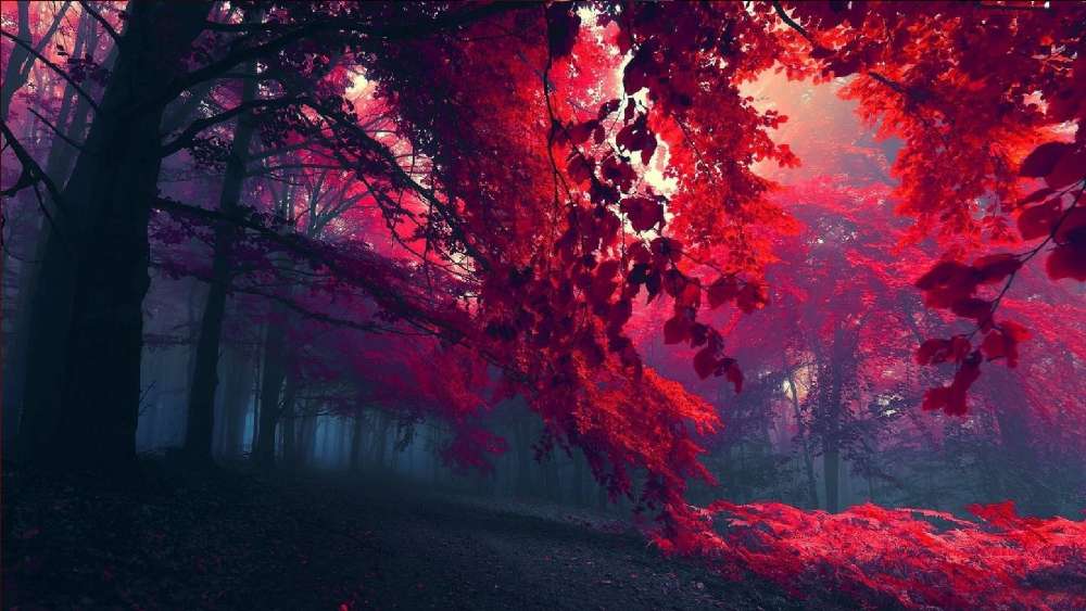 Red autumn forest wallpaper
