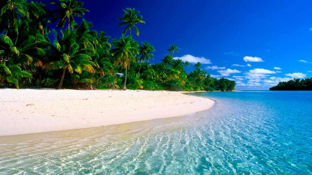 Tropical Beach Paradise in Summer Bliss wallpaper