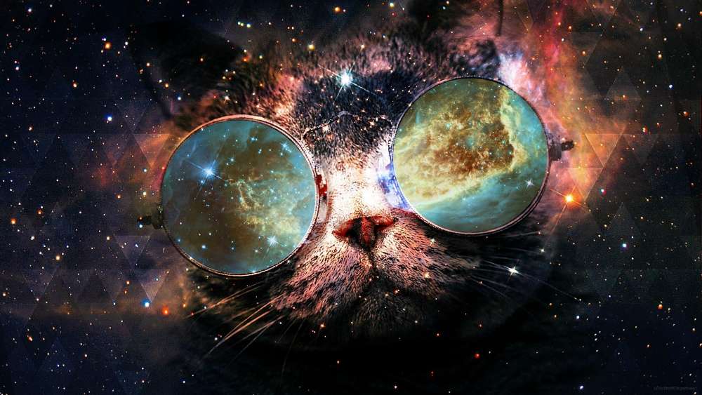 Cosmic Feline Vision wallpaper