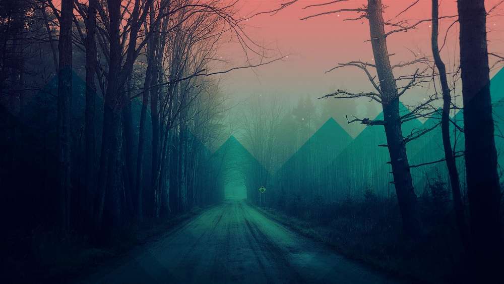 Mysterious Twilight Drive Through Foreboding Woods wallpaper