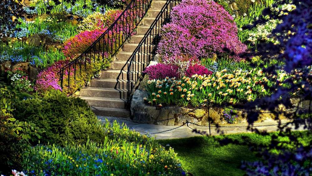 Vibrant Garden Pathway with Colorful Flowers wallpaper