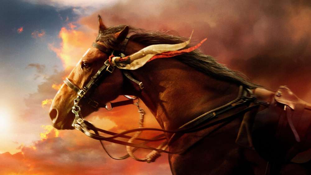 Majestic Horse in Sunset Blaze wallpaper