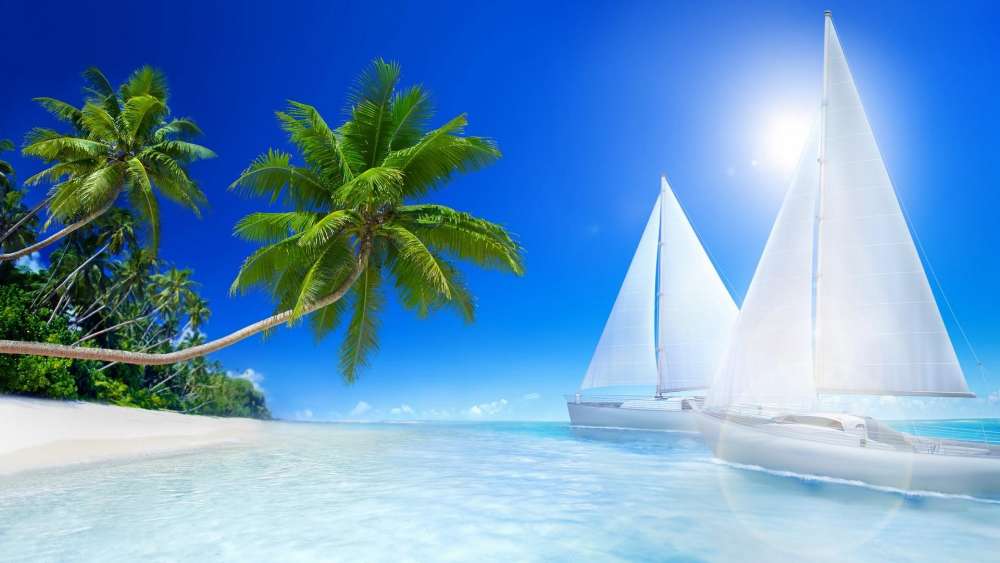 Wallpaper from nature category