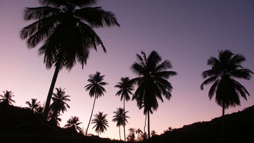 Wallpaper from nature category