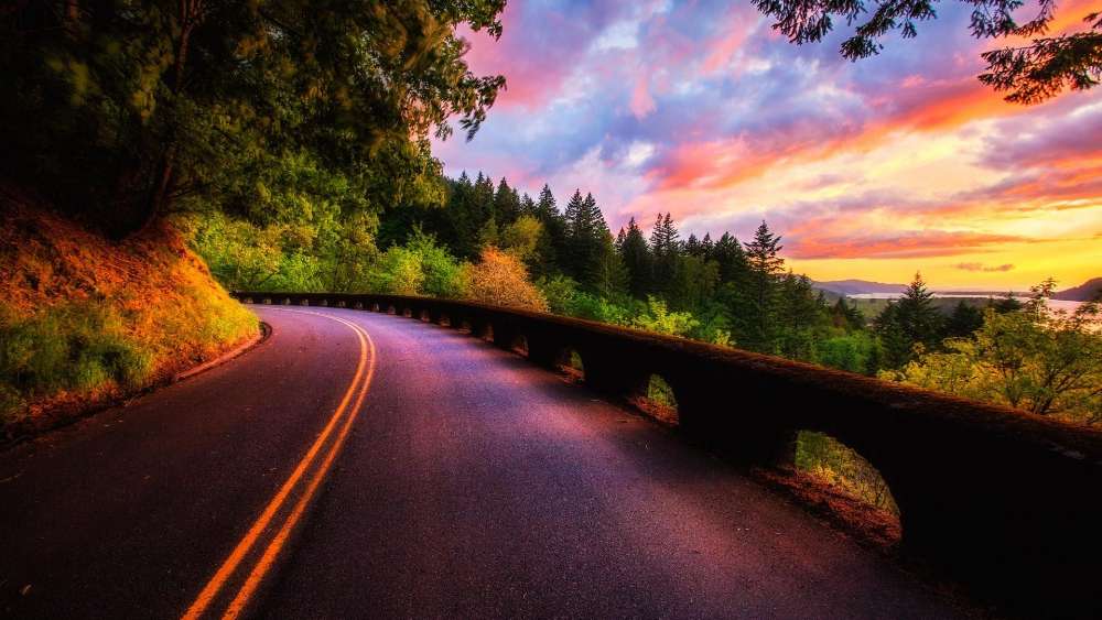Sunset Serenade on a Forest Road wallpaper