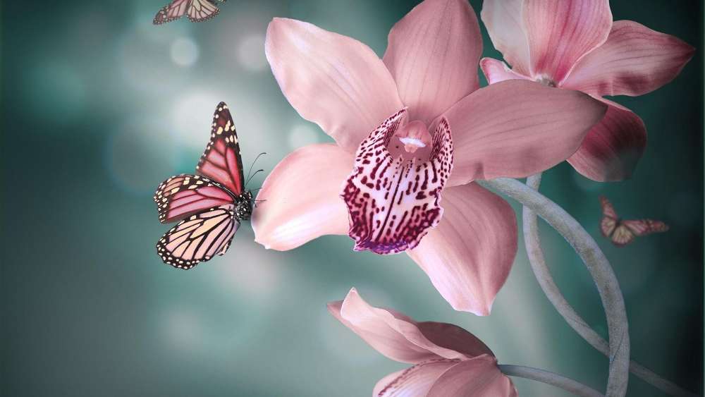 Butterflies Fluttering Around Delicate Pink Orchids wallpaper