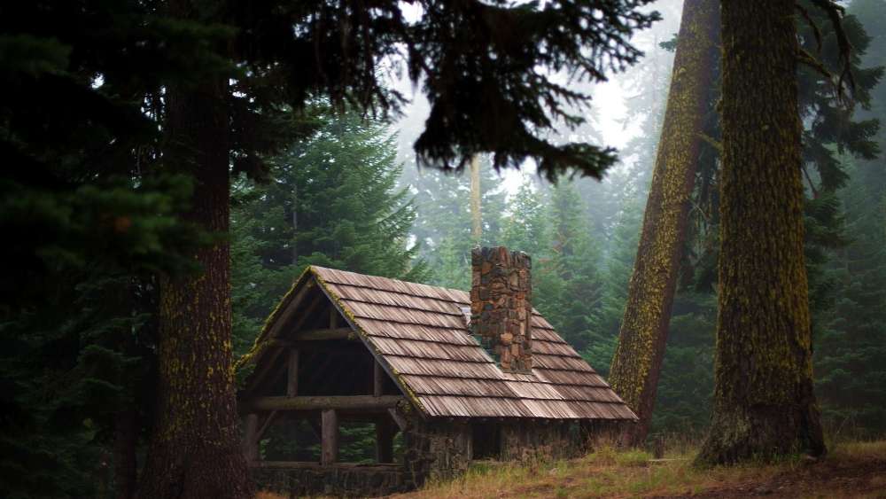 The Tranquil Forest Retreat wallpaper