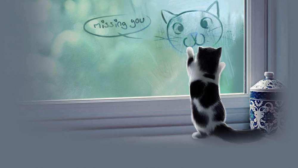 Whimsical Cat Misses Its Reflection wallpaper