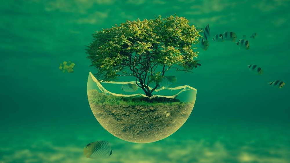 Enigmatic Tree in Floating Orb wallpaper