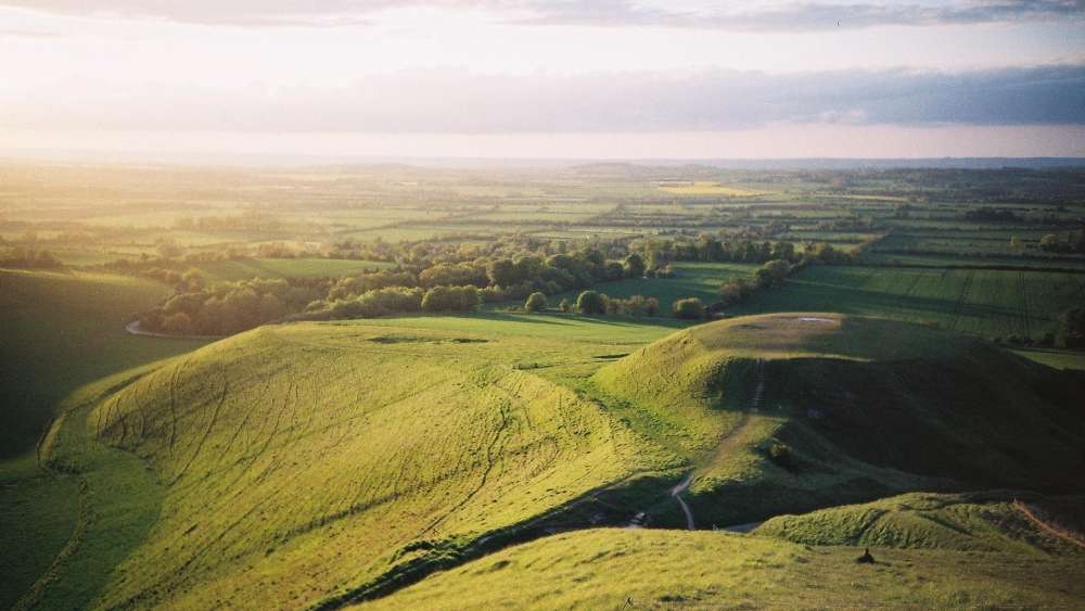 Wallpaper from nature category