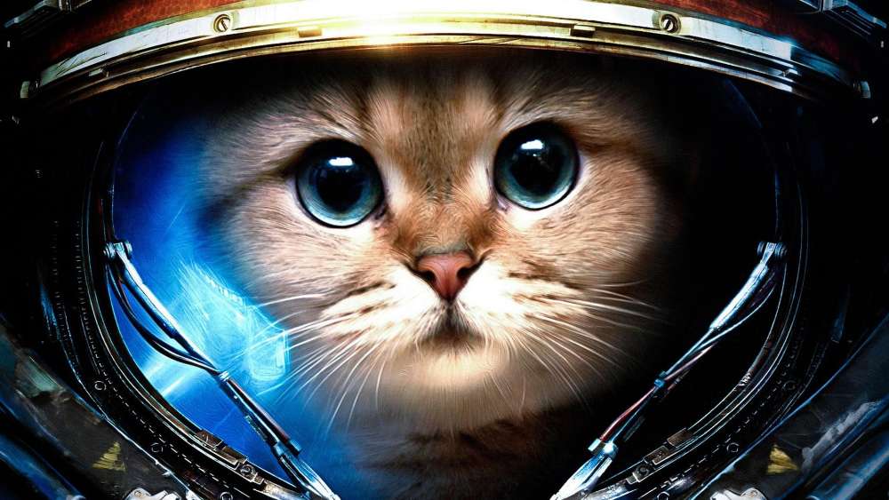 Cosmic Feline Explorer in Orbit wallpaper