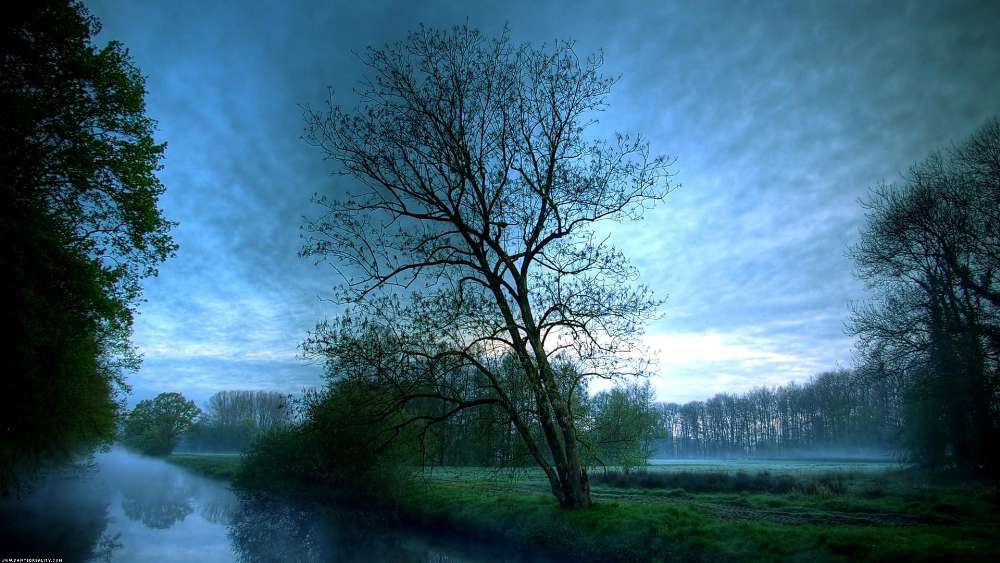 Serene Blue Misty Landscape Wallpaper wallpaper