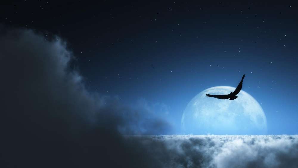 Mystical Flight Under the Moonlit Sky wallpaper