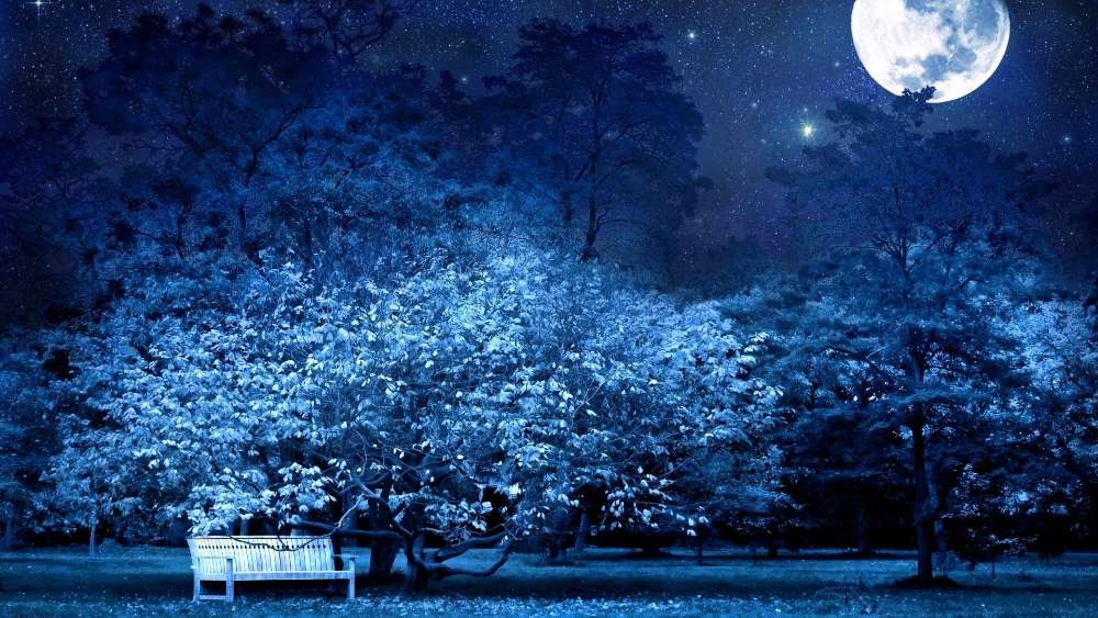 Moonlit Serenity in a Mystical Grove wallpaper