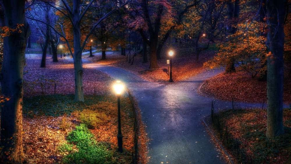 Autumn Evening Stroll Through City Park wallpaper