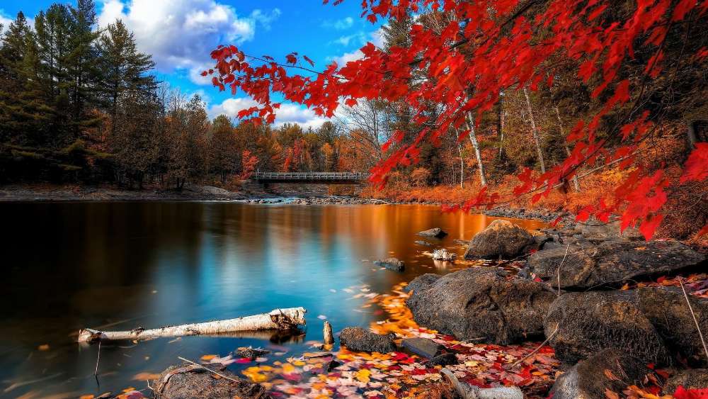 Autumn Serenity by the Lakeside wallpaper