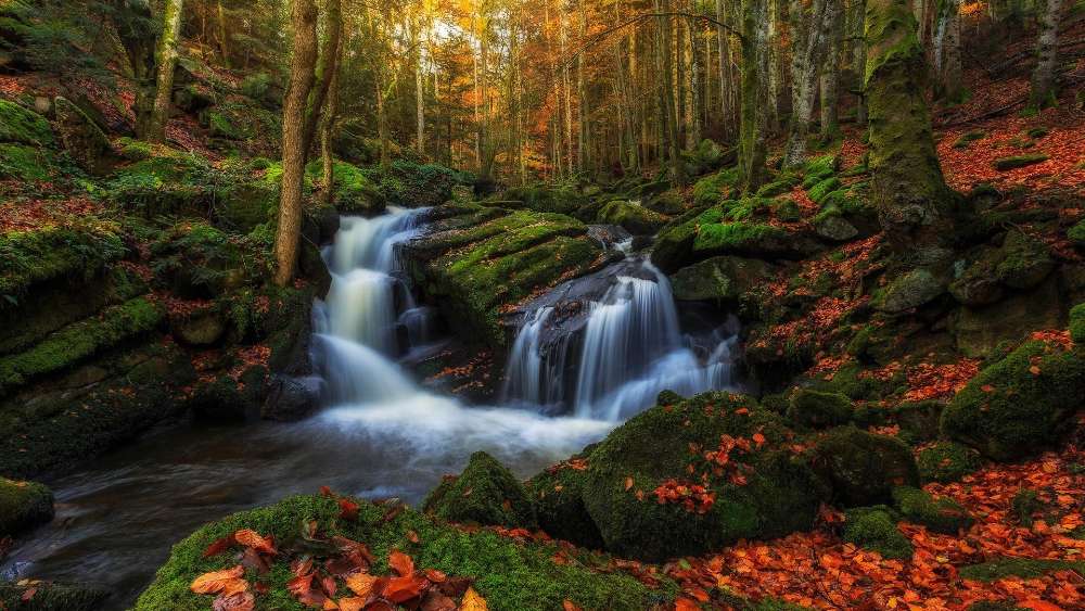 Autumn Serenity in Nature's Embrace wallpaper