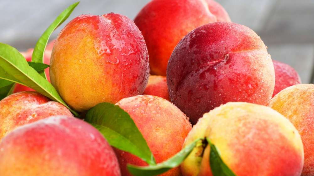 Harvest Fresh Peaches and Nectarines wallpaper