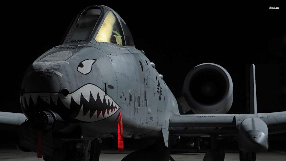 Shark-Themed Military Aircraft in the Shadows wallpaper