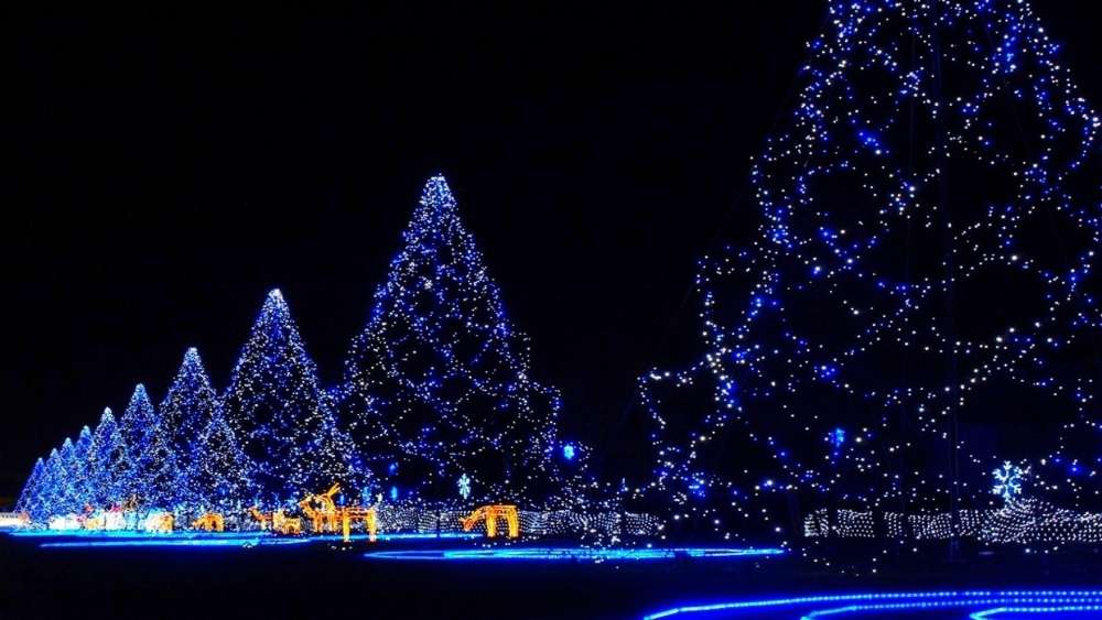 Enchanted Blue Christmas Light Display wallpaper
