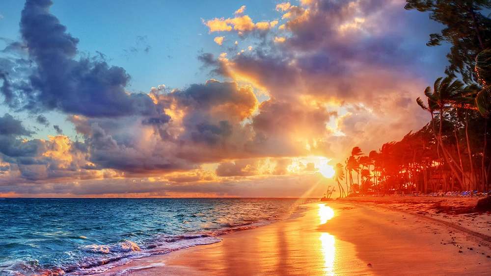 Tropical Sunset Serenade wallpaper