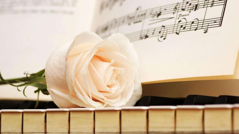 Melodic Blossom on Piano Keys wallpaper