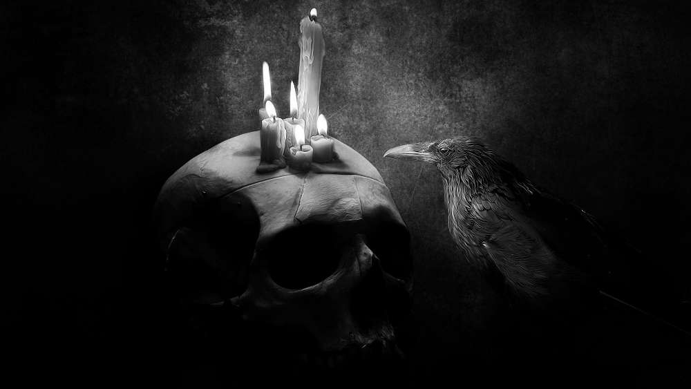 Mystical Raven and Skull Silhouette wallpaper
