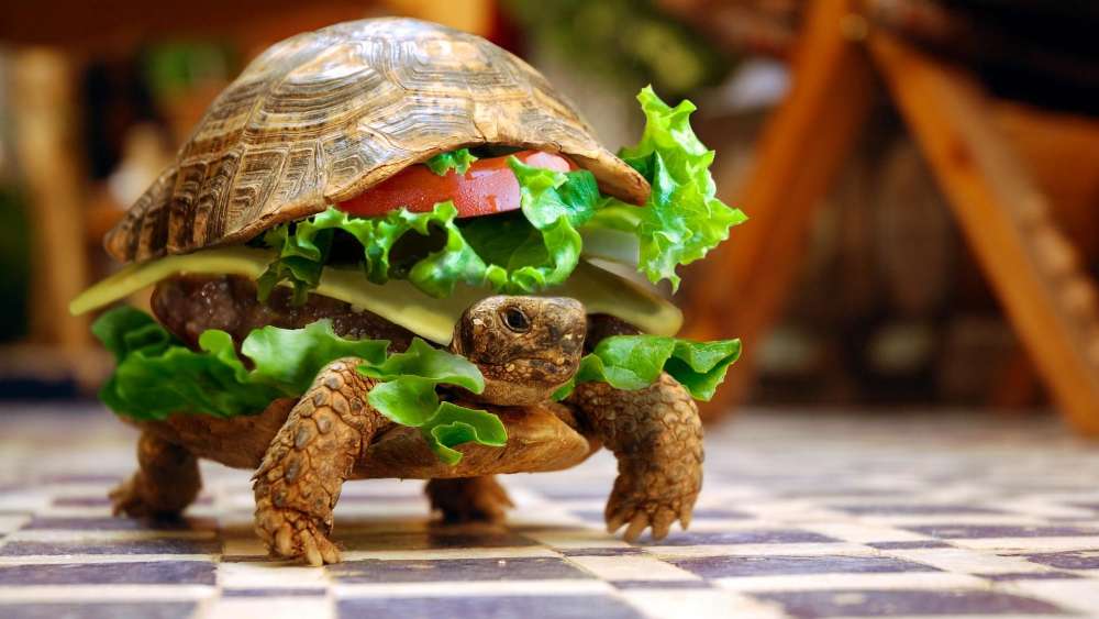 Turtle Burger Delight wallpaper