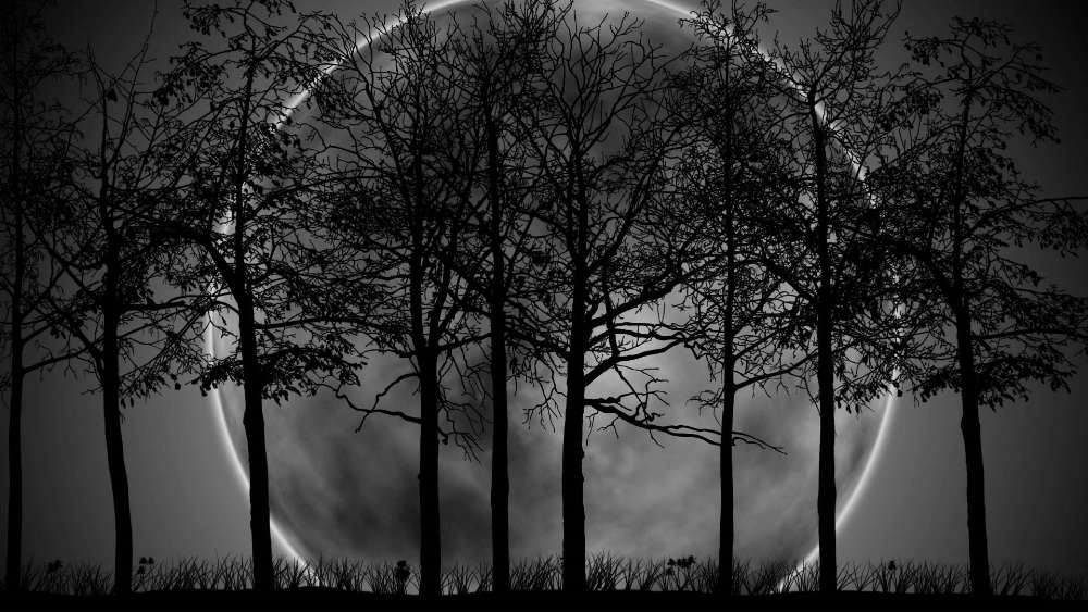 Moonlit Silhouettes Against the Night Sky wallpaper