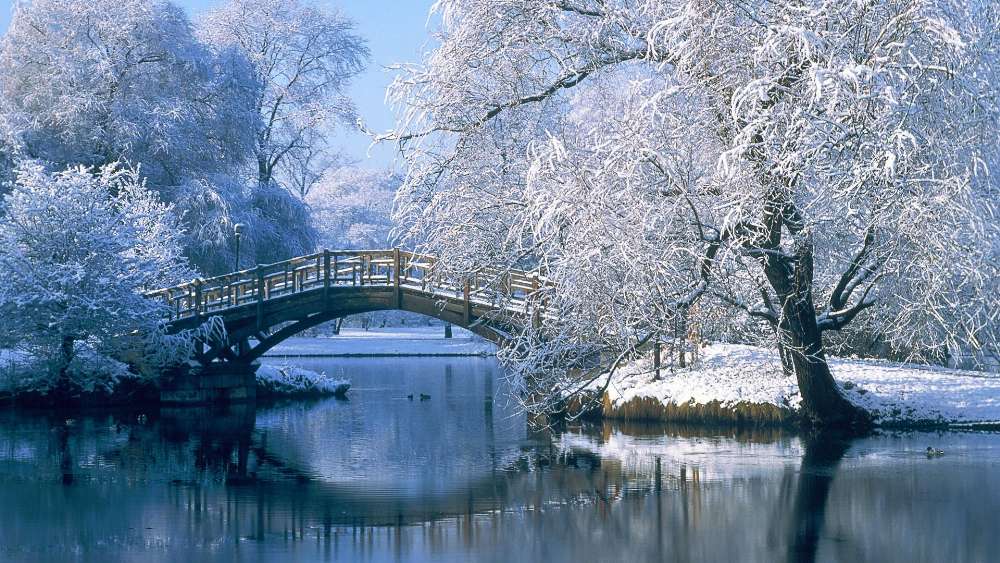 Winter Bridge Over Serene Waters in Nature Scene wallpaper