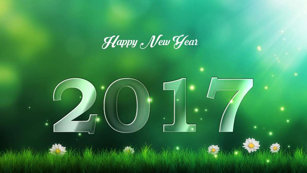 2017 New Year Greetings with Flowers and Sparkles wallpaper