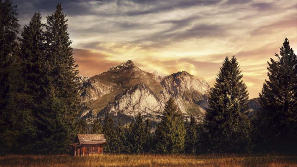 Mountain Refuge Among the Pines wallpaper